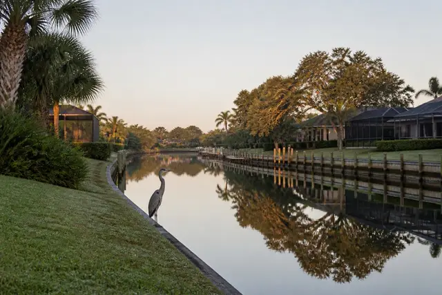 Mirror-calm Palm Coast saltwater canal at dawn with a heron on a bulkhead and cabbage palms catching first light