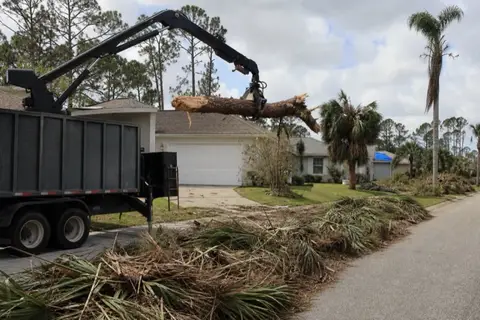 Grapple loader lifting a snapped pine trunk off a Palm Coast driveway with palm fronds and limbs windrowed at the curb under a clearing sky